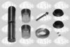 SASIC T791013 Repair Kit, kingpin